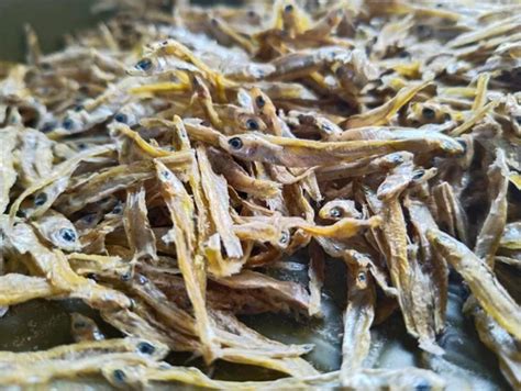 Dry Fish Kiski, Packaging Type: Bag at Rs 250/kilogram in Ahmedabad ...