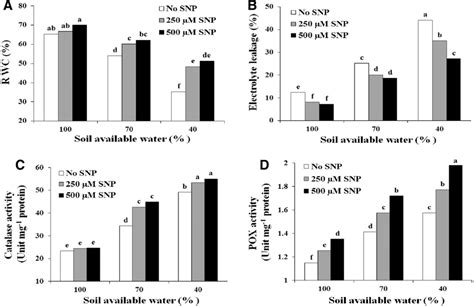 The Interaction Of Water Deficit Stress And Sodium Nitroprusside Snp