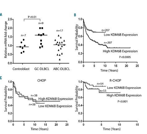 Demethylase Kdm6b Is Overexpressed In Dlbcl A Gene Expression