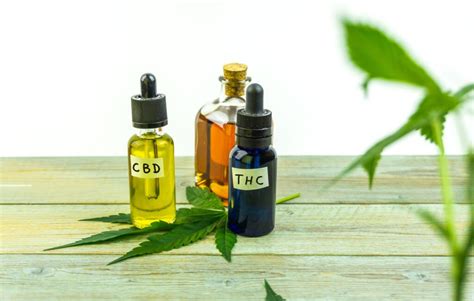 THC VS CBD Propiedades Beneficios Y Diferencias