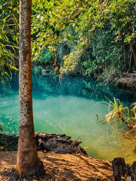 The Best Swimming Spots and Waterfalls in Litchfield National Park ...