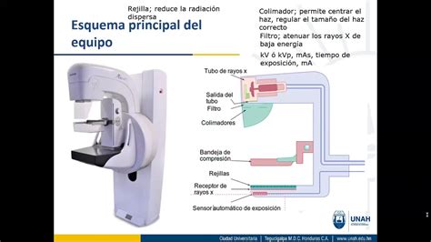 Introducción a la Imagenología 1800 Sistema de Imagen de Mamografía