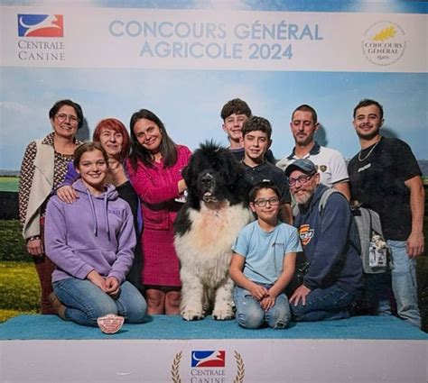 Salon De L Agriculture Concours Canin Une M Daille D Or Pour Une