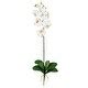 Phalaenopsis Silk Orchid Flower W Leaves Stems Bed Bath Beyond