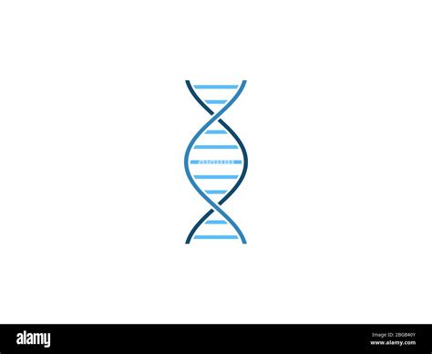 Chromosome Dna Genetic Icon Vector Illustration Flat Design Stock Vector Image And Art Alamy