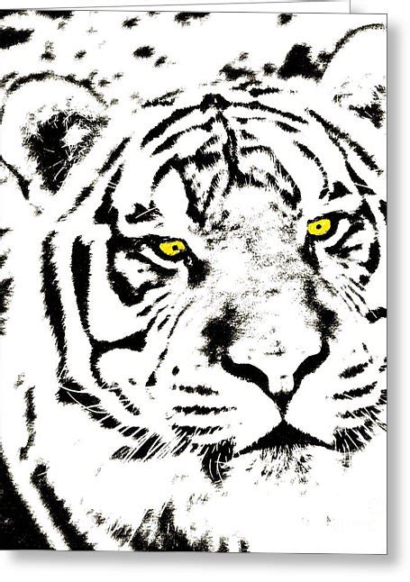 Tiger Pen Drawing At Getdrawings Free Download