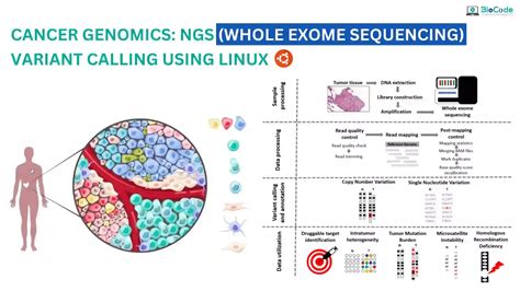 Cancer Genomics NGS Whole Exome Variant Calling Using Linux