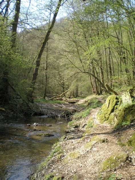 Wandern Baybachtal Rundweg Durch Den Canyon Des Hunsr Cks Tour