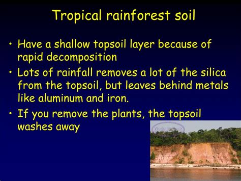 Ppt Soil And Food Powerpoint Presentation Free Download Id2291552