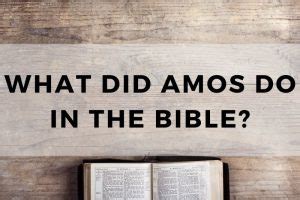 What Did Amos Do in the Bible? (A Quick Summary) - TRUST IN THE BIBLE