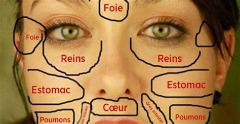 Carte Du Visage Chinoise Quand Les Probl Mes De Peau R V Lent L Tat