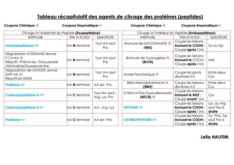 Tableau De La Liste Des Protéines