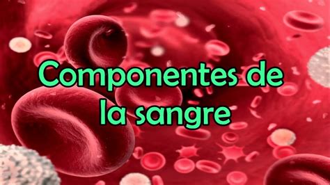 Los Componentes De La Sangre