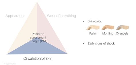 Pediatric Assessment Triangle Lecturio Nursing