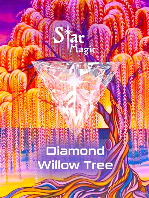 Diamond Willow Tree - Star Magic