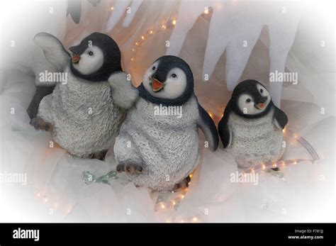 Christmas Penguins Hi Res Stock Photography And Images Alamy