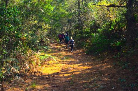 Incre Bles Rutas De Senderismo En M Xico Live The Mountain