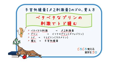 子宮弛緩薬【β2刺激薬】のゴロ、覚え方 ごろごろ覚える薬学生ゴロ Cbt･薬剤師国家試験対策