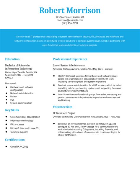 Entry Level Information Technology Resume Examples And Templates For