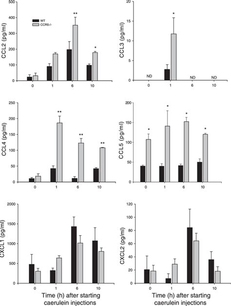 Ccr5 Deficiency Affects The Production Of Cc Chemokines Ccr5 Or Wt