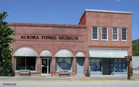 Aurora Fossil Museum in Aurora, North Carolina - Kid-friendly ...