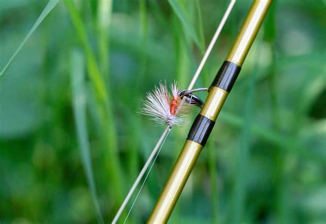 Fly Fishing How To 3 Ways To Create A Dry Dropper Rig