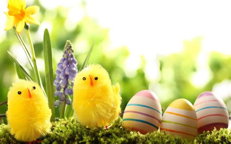 Vibrant Easter Hd Wallpaper Celebrate Spring With Joyful Chicks And