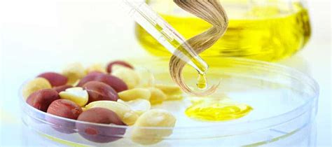 Looking For A Worthy Peanut Oil Substitute? 7 Great Alternatives For ...