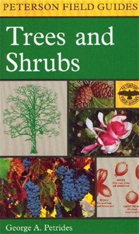 A Field Guide To Trees And Shrubs Northeastern And North Central