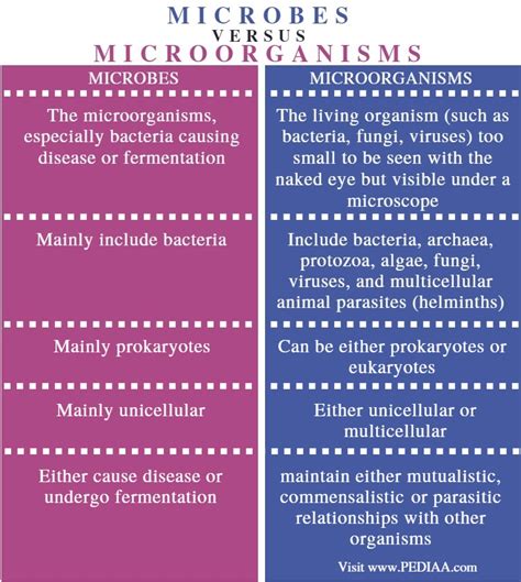 What Is The Difference Between Microbes And Microorganisms Pediaa