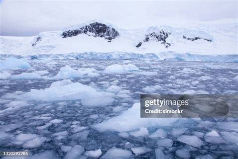 Icebergs Wilhelmina Bay Antarctica Photos and Premium High Res Pictures - Getty Images