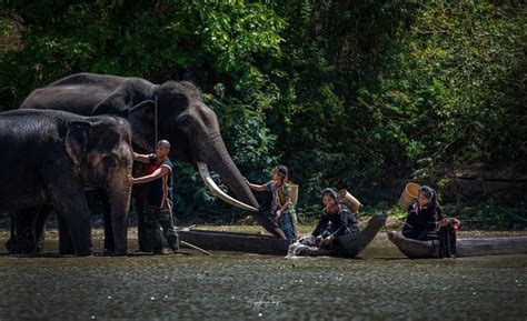 Vietnam Ethnic Ê đê Rade People Vietnam Lich Elephant