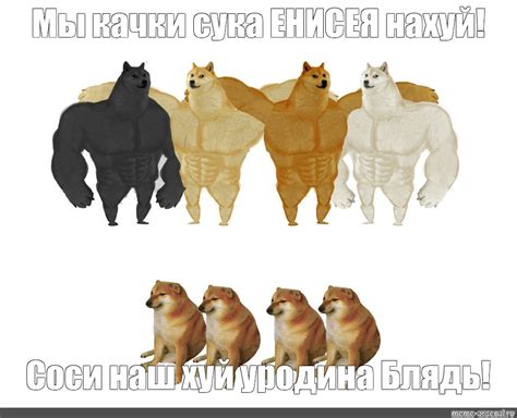 Мем Мы качки сука ЕНИСЕЯ нахуй Соси наш хуй уродина Блядь Все