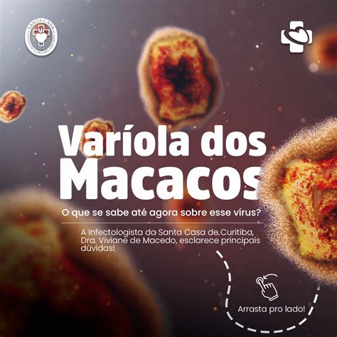 Var Ola Dos Macacos M Dica Da Santa Casa Esclarece Principais D Vidas