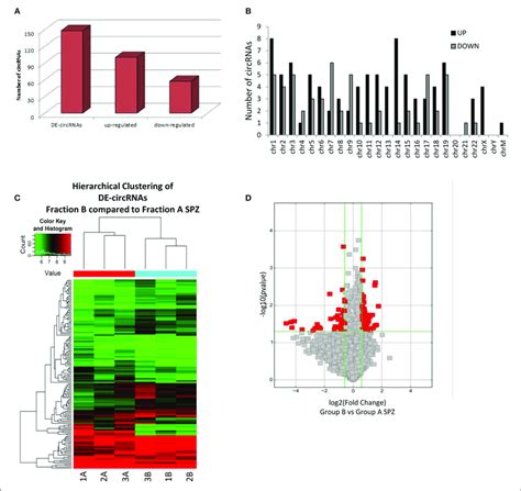 Differential Expression Of Circrnas Between Fraction A And B Spz A