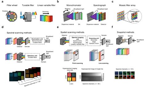 Representative spectral detection methods and hyperspectral imaging... | Download Scientific Diagram