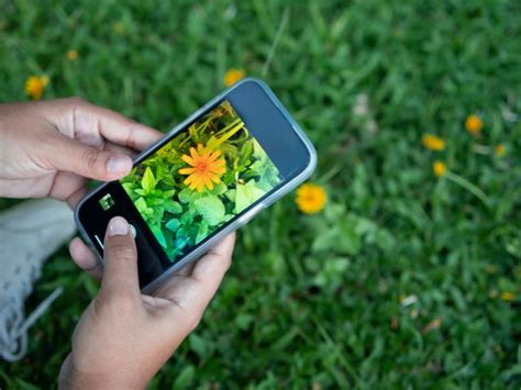 NPLD iNaturalist Project | The National Environmental Education ...