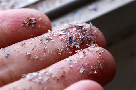 Microplastics In The Human Body What We Know And Dont Know