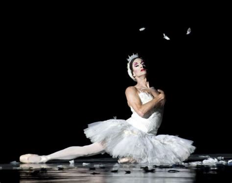 Molting Swans And Tradition With A Heavily Trilled ‘r Les Ballets