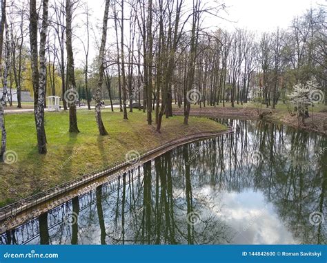 Green Trees And Blue Sky In City Park Ivano Frankivsk Ukraine Early