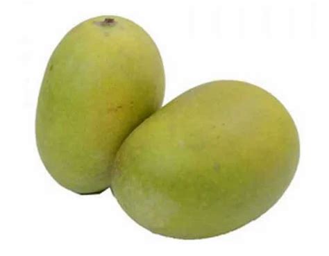 Top 12 Most Famous Varieties Of Indian Mangoes 57 Off