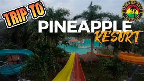 Pineapple Resort Quick Escaped Youtube