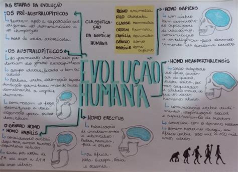 Mapa Mental Evolu O Humana Em Evolu O Humana Mapa Mental