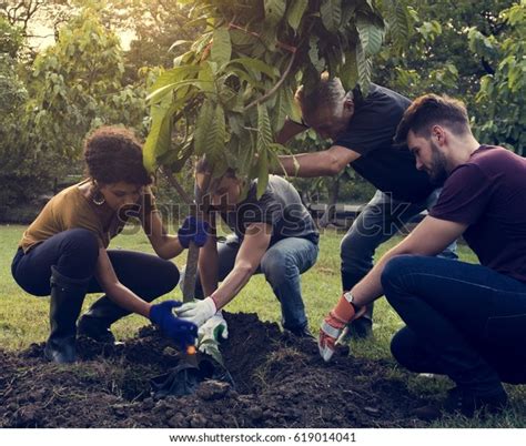 Group Diverse People Planting Tree Together Stock Photo 619014041