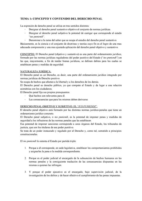 Tema Penal Resumen Tema Concepto Y Contenido Del Derecho