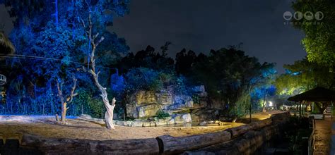 Chimelong Safari Park Simon Corder