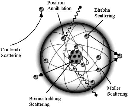 Schematic Diagram Of The Electron And Positron Interactions With Atoms