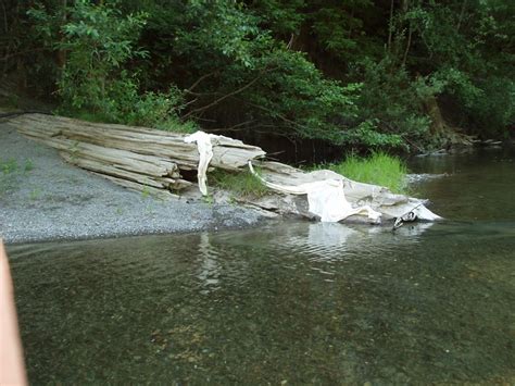 Eel River, California, USA | World Rivers Project