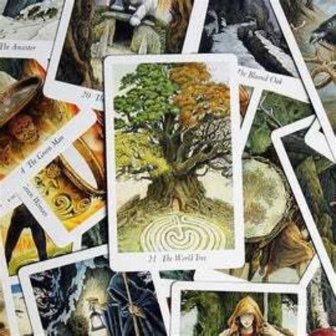 Wildwood Tarot Deck 78 Card Tarot Deck And Guidebook Curious Cauldron