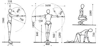 Proyecto De Ergonomia Antropometr A